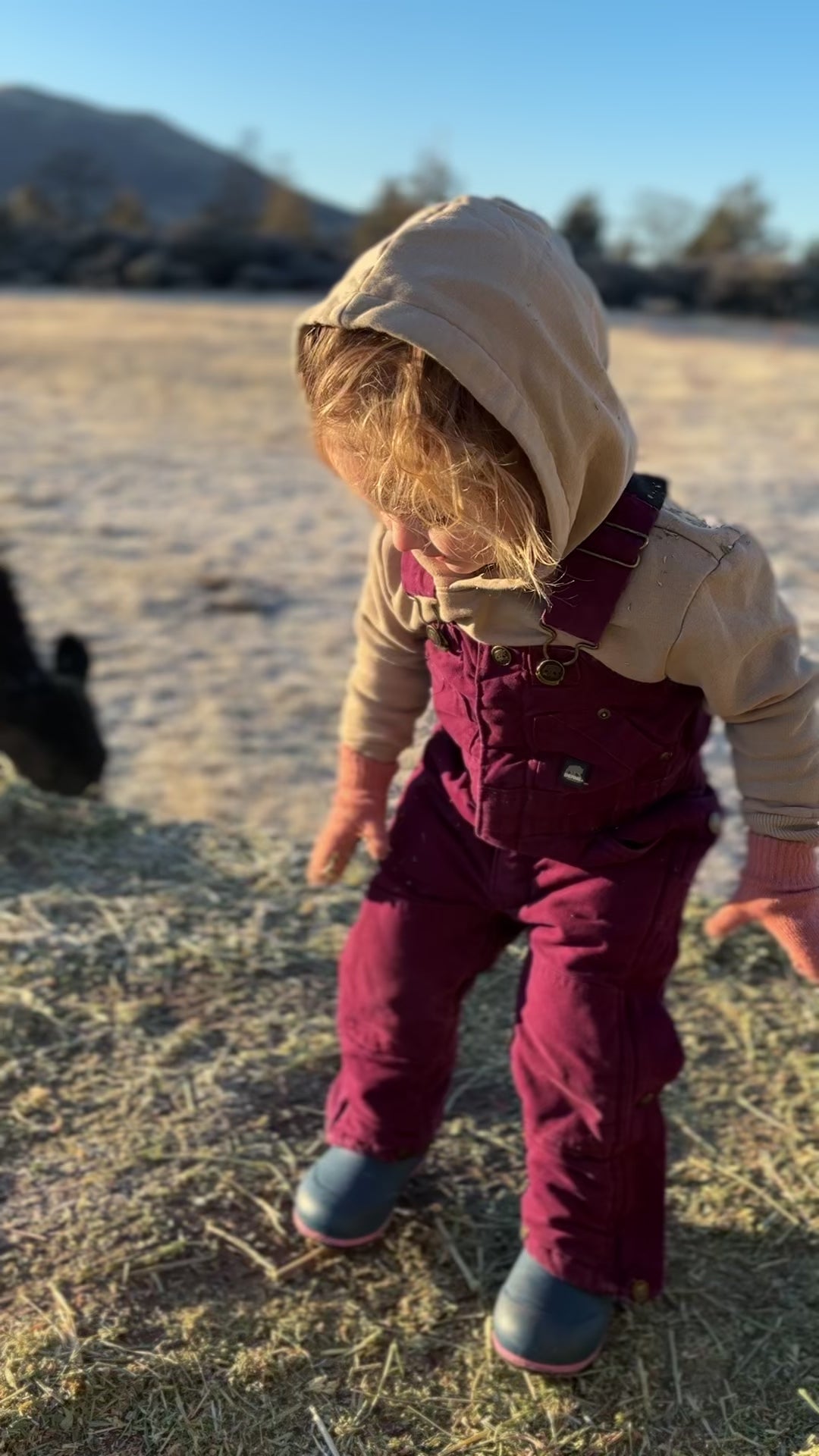 Toddler Winter Insulated Bib Overall – Berne Apparel